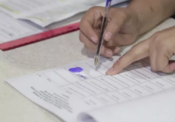El Tribunal Electoral autorizó la recolección de firmas.