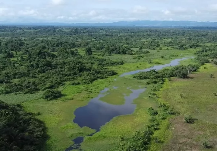 El Complejo de Humedales de Matusagaratí, situado en la provincia de Darién, fue reconocido como Sitio Ramsar. Foto: MiAmbiente