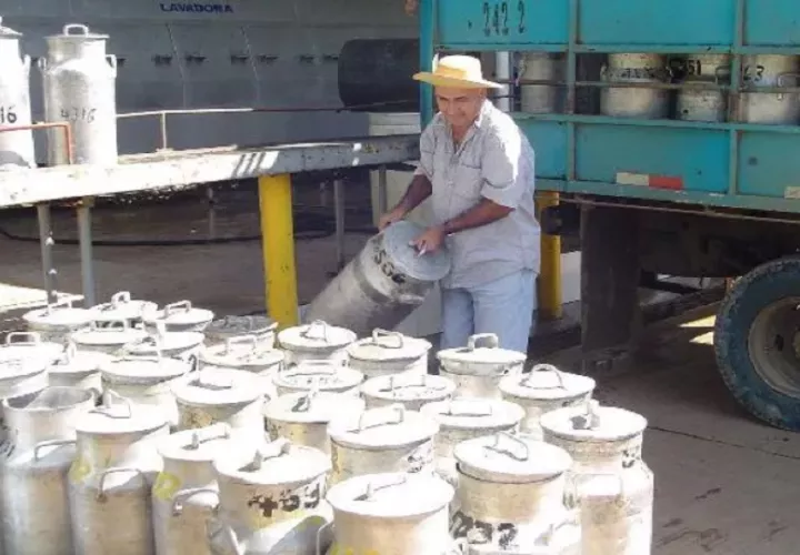 La producción local se utilizará en la elaboración de nuevos productos. Foto: Cortesía