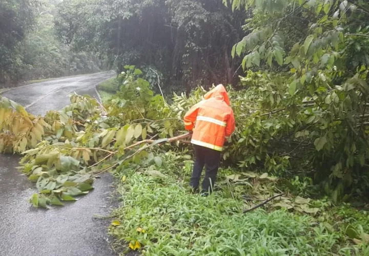 lluvias_caidas_de_arboles_anegacion_sinaproc.jpg
