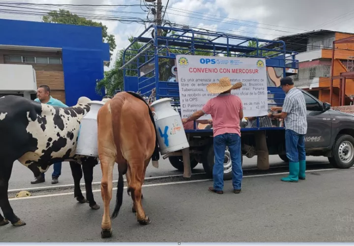 Los productores también advirtieron que estas importaciones están repercutiendo en el cumplimiento de sus compromisos financieros con las entidades bancarias. Foto. Eric Montenegro