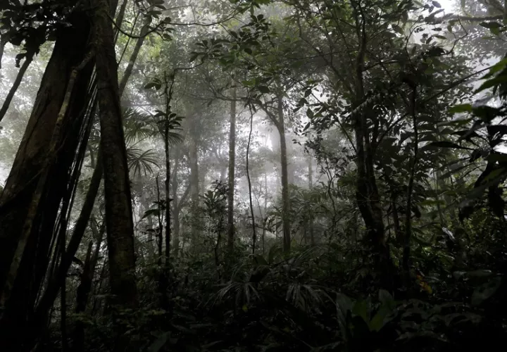 Parque Nacional Campana. Foto: Cortesía