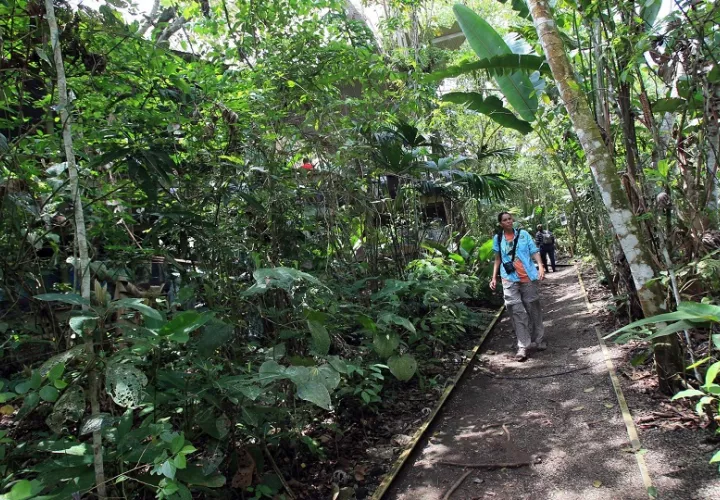 La industria del turismo aporta actualmente el 11 % del Producto Interno Bruto (PIB) de Panamá. Foto: EFE