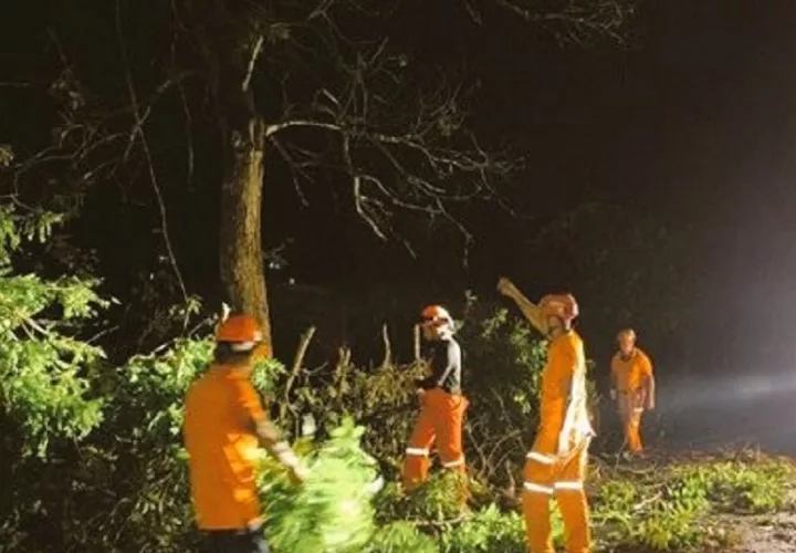 En Veraguas hubo caída de árboles en varios sectores. Foto. Sinaproc