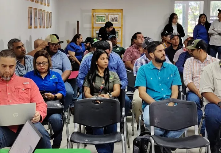 Los ganaderos y todos los involucrados en la industria recibieron orientación durante un seminario sobre trazabilidad en Veraguas. Foto. Cortesía. Mida
