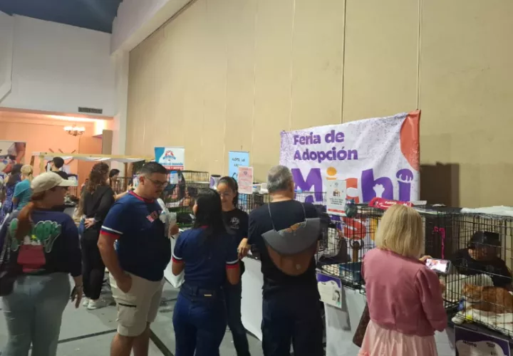 Feria de adopción. Foto: Belys Toribio