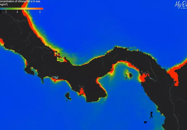 Concentraciones extremadamente bajas de clorofila en los océanos alrededor de Panamá  en febrero de 2025. Foto: Aaron O’Dea