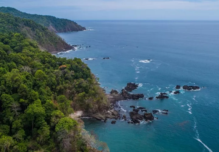 Se trata de iniciativas que marcan un nuevo rumbo en la acción climática y ambiental. Foto: Cortesía
