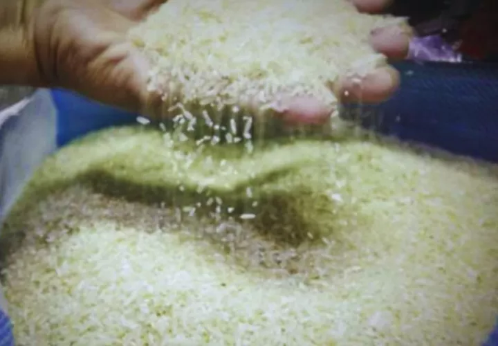 Hay suficiente arroz hasta febrero de 2026. Foto: Archivo