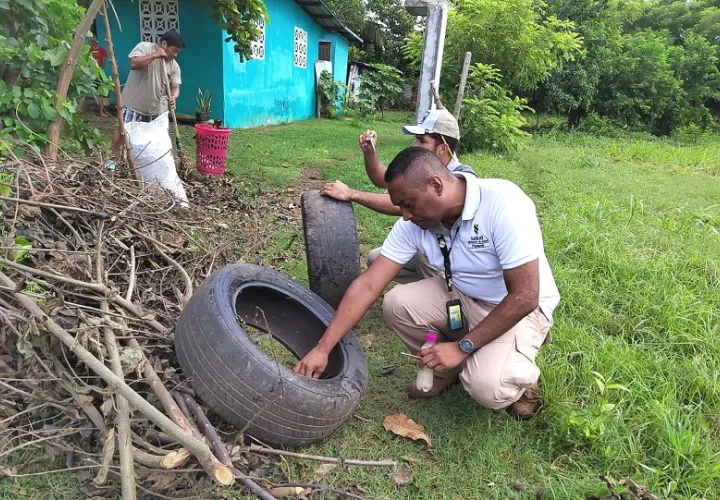 El Minsa detalla que de los 11,088 casos, unos 9,835 casos son sin signos de alarma, mientras que 1,179 con signos de alarma y 74  son casos de dengue graves. Foto. Thays Domínguez