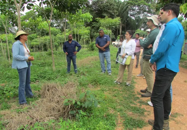 Los visitantes conocieron el vivero forestal del proyecto. Foto: Cortesía