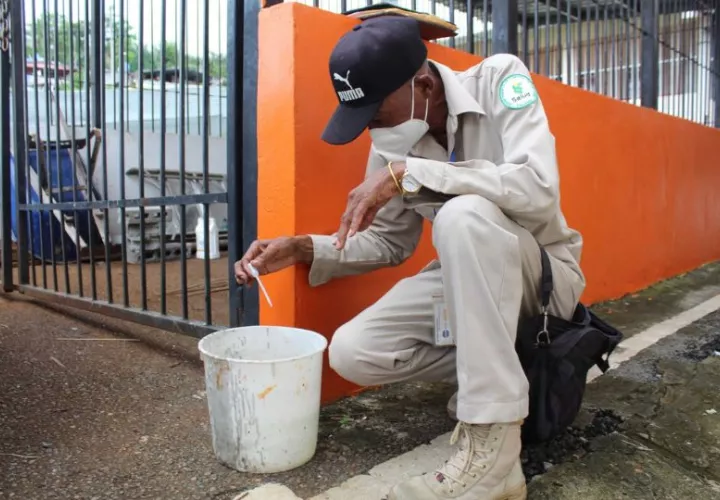 La provincia de Chiriquí registra un total de cuatro defunciones por causa del dengue. Foto. Cortesía