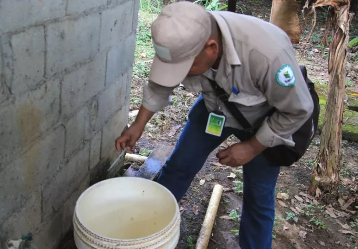 Recomiendan mantener los alrededores sin criaderos de mosquitos. Foto: Cortesía