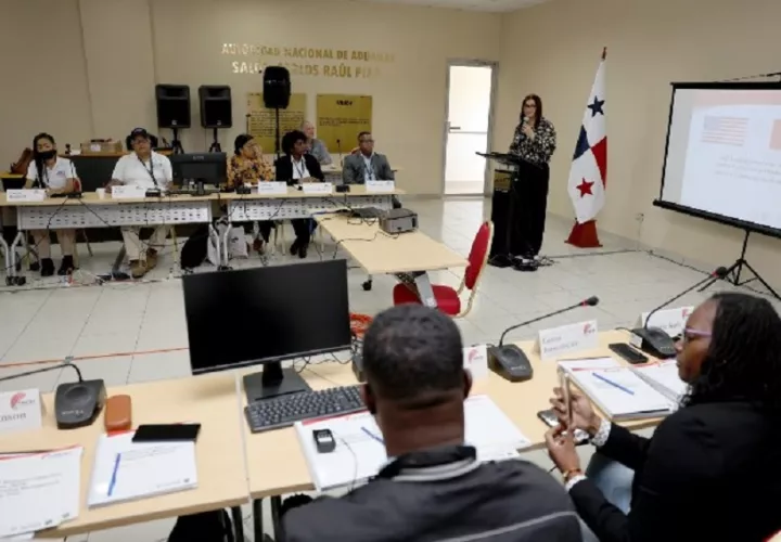Taller de adiestramiento