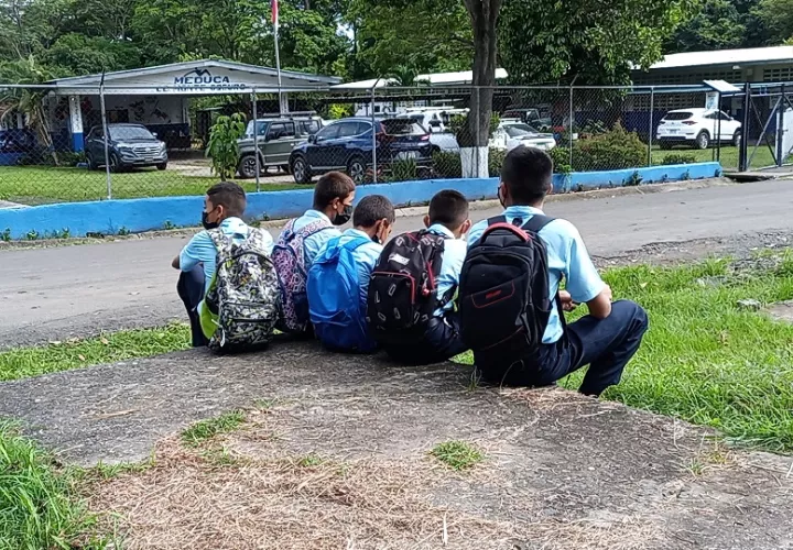 El cambio en los planes de estudio de los colegios de estas zonas permitiría a los estudiantes cuyas familias poseen fincas agrícolas el desarrollo de proyectos como fincas agro turísticas. Foto. Eric Montenegro