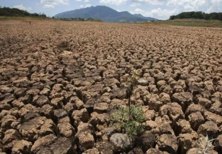 Panamá sufrió entre 2023 y 2024 una grave sequía por culpa del fenómeno El Niño. Foto: Archivo