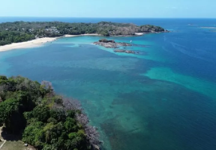 El Refugio de Vida Silvestre Saboga responde a la necesidad de proteger varias especies importantes de aves, cetáceos y tiburones. Cortesía