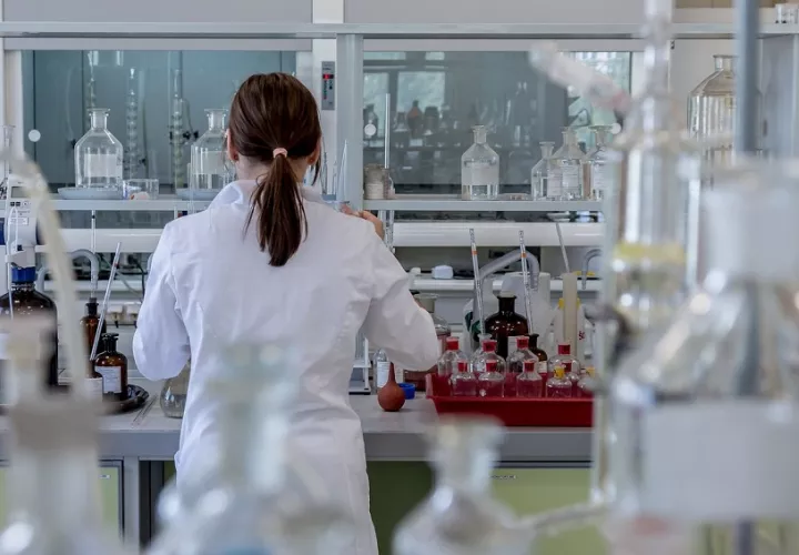 El SIN es un programa público cuyo propósito es incentivar la excelencia en la calidad de la investigación científica. Foto Michal Jarmoluk/Pixabay
