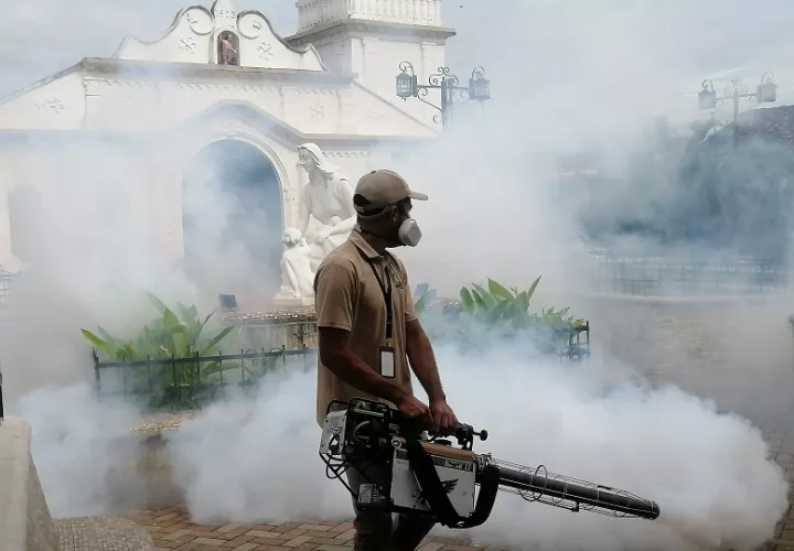 La jefa de Salud Pública de la provincia de Herrera, Stacy Osorio, señaló que además del incremento de casos de dengue, preocupa la detección de tres casos confirmados del virus Oropouche. Foto. Thays Domínguez