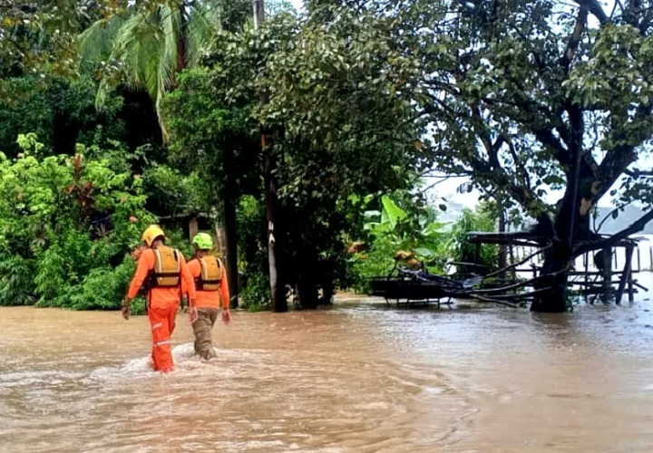 Las afectaciones se concentran en Tonosí, en la región santeña, y en Las Minas y Ocú, en Herrera. Foto. Thays Domínguez