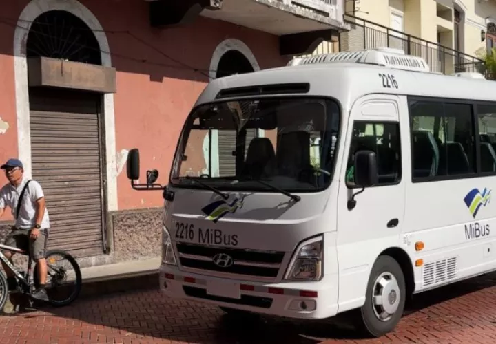 Buses medianos de MiBus. Foto: Cortesía