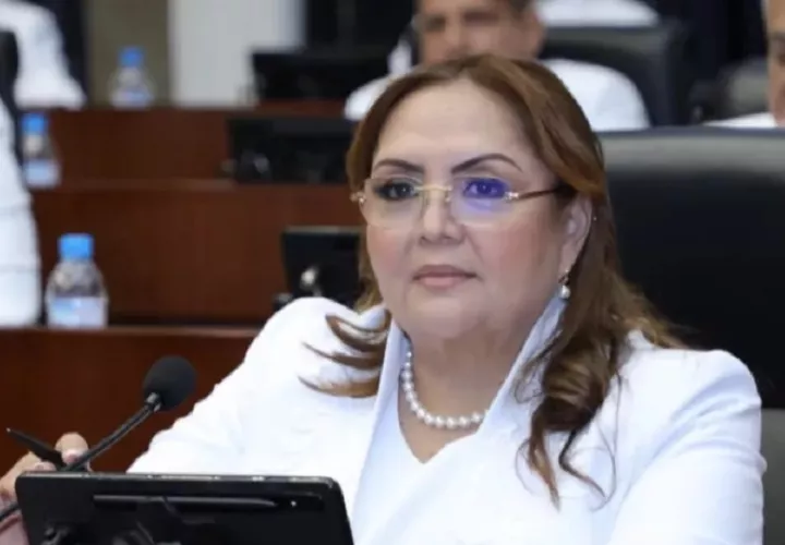 dana_castaneda_-_vamos_-_diputada_-_rm_-_asamblea_de_diputados-_reglamento_interno_socialismo.jpg