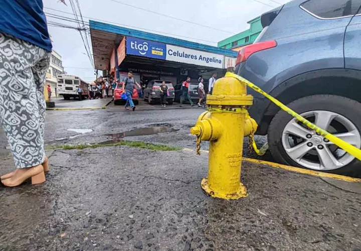 Los bomberos trabajan en un inventario de los hidrantes en el país. Foto Eric Montenegro