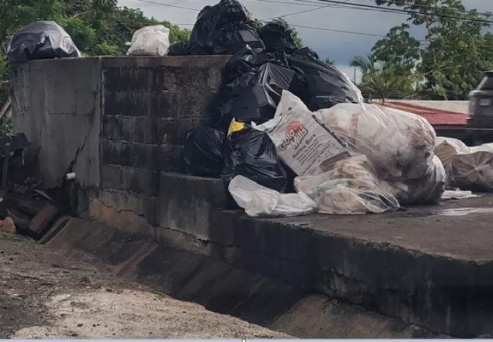 En la barriada Valle Dorado, corregimiento de Barrio Colón, los residentes tienen un mes sin el servicio de recolección de basura. Foto. Eric Montenegro