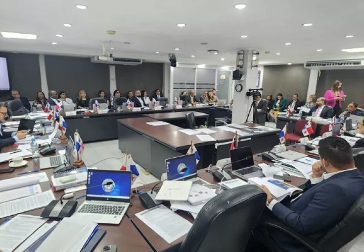  Hace dos semanas concluyeron las vistas presupuestarias de más de 90 instituciones. Foto: Cortesía Asamblea