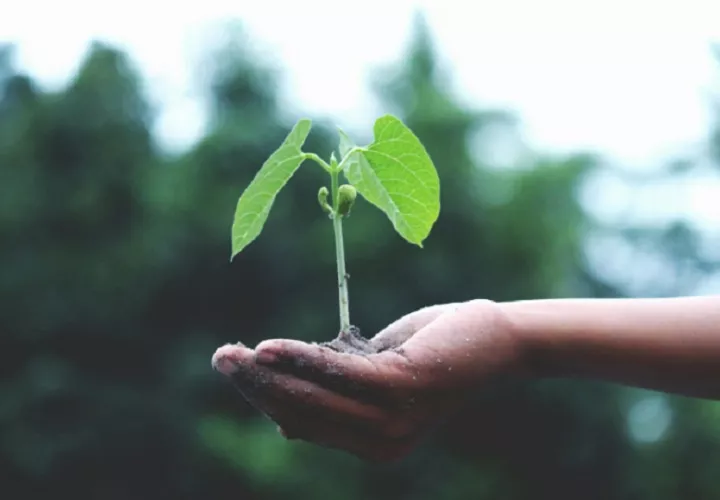 El cambio climático plantea desafíos cada vez más complejos para las empresas y la sociedad. Foto: Cortesía
