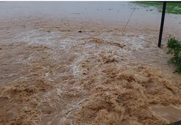 Los reportes preliminares confirman pérdidas materiales aún no cuantificadas: cultivos agrícolas devastados, acueductos rurales destruidos, animales domésticos arrastrados por las aguas y cientos de enseres perdidos.  Foto. Melquíades Vásquez