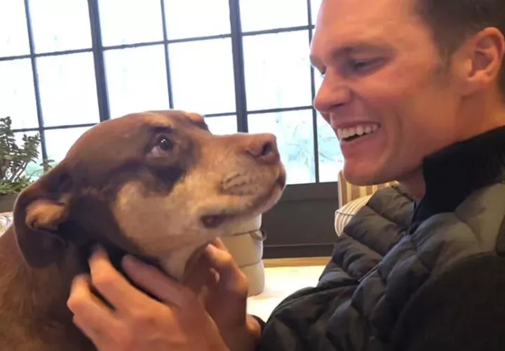 Tom Brady junto a Lua, su perra que murió en 2023 y fue clonada.  Foto: Instagram