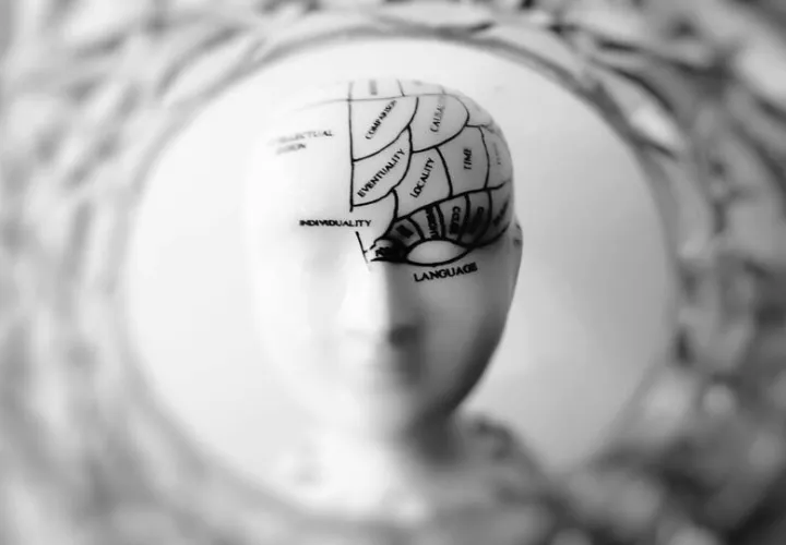 El cerebro humano es complejo. Foto: Pexels