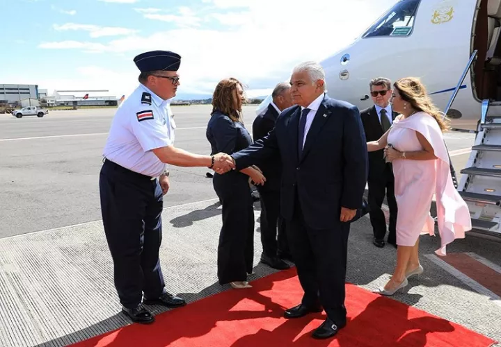Mulino a su llegada a Costa Rica. Foto: Cortesía