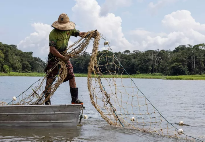 En Latinoamérica y el Caribe existe "mucho potencial" de pesca y acuicultura. Foto: EFE