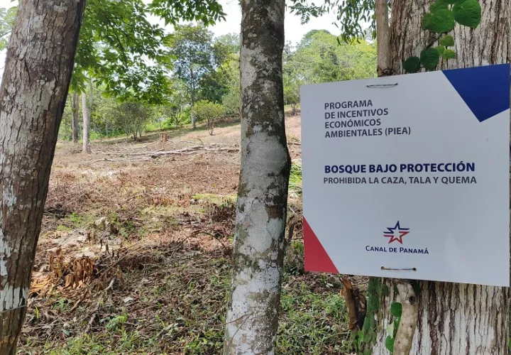 Saltos de agua, áreas protegidas, caminatas por bosques, centros comerciales, un cinturón de playas en el litoral Pacífico, granjas agroturísticas, zonas para acampar y la proximidad a un aeropuerto son parte del potencial de la provincia. Foto. Eric Montenegro