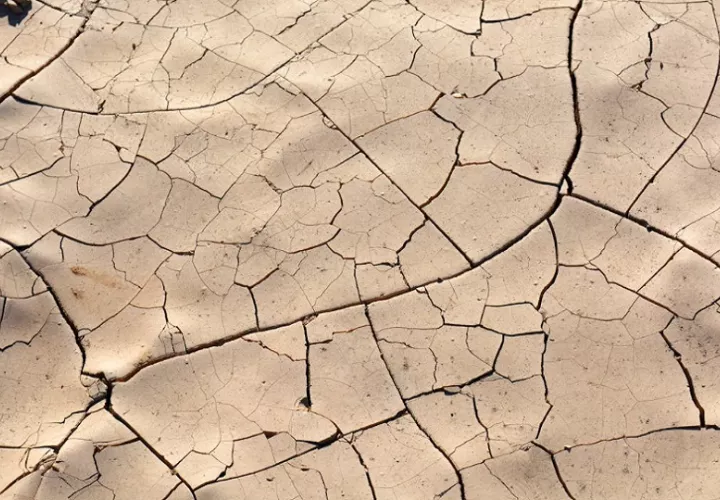 Las graves sequías y la pérdida de tierras fértiles ya están afectando a la producción de alimentos y energía, según especialista. Foto: Ilustrativa/Pexels