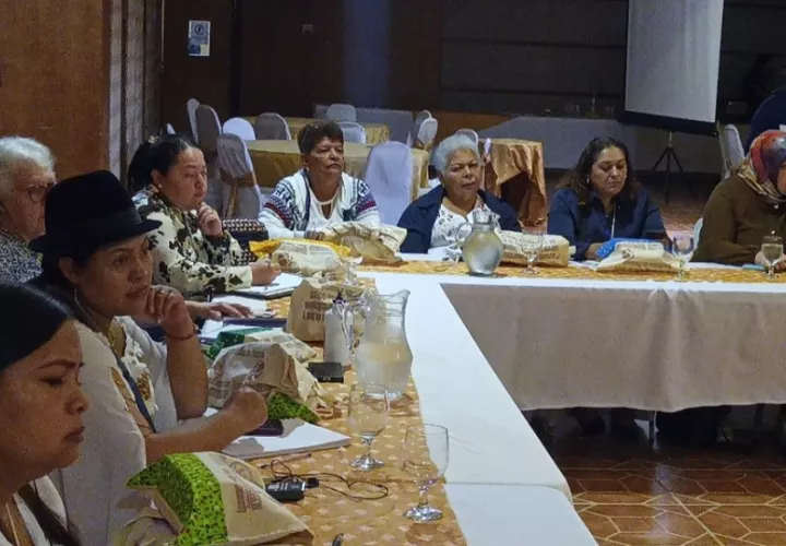 El programa, además de conferencias y mesas de trabajo, incluye visitas a cooperativas locales en Veraguas, con el fin de conocer experiencias exitosas y modelos replicables en otras naciones. Foto. Melquíades Vásquez