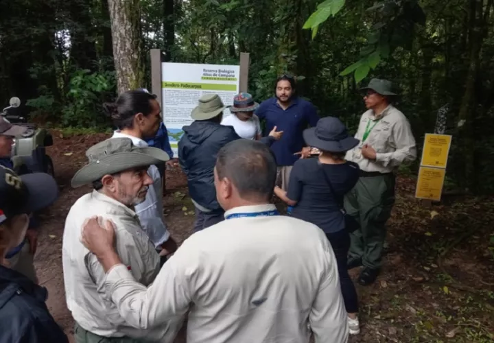 Durante la inspección. Foto: MiAmbiente