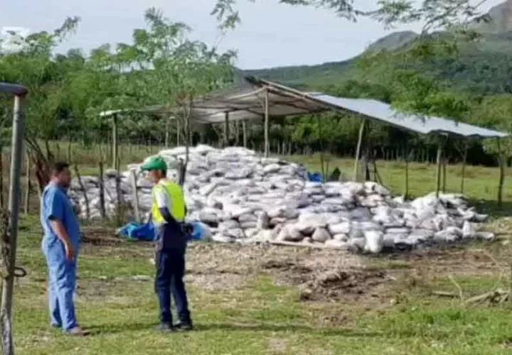 Vecinos se quejaban por los desagradables olores provenientes de la finca. Fotos Eric Montenegro