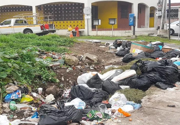 Hay problemas de recolección de la basura en San Miguelito. Foto: Archivo
