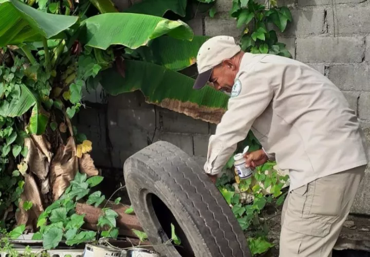 Las autoridades recomiendan eliminar los criaderos de mosquitos. Foto: Cortesía