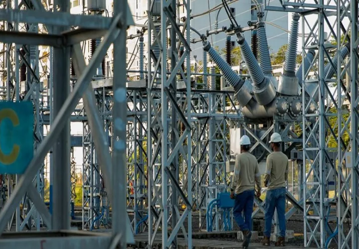 El 90% de los bajones o fallas eléctricas que ocurren en el país se deben a la mala ubicación de los árboles. Foto: Pexels