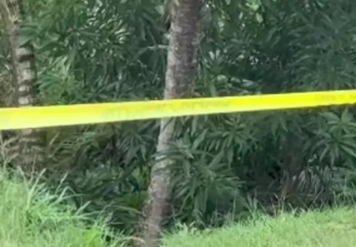 El hallazgo se dio a orillas de un río. Foto:  Diómedes Sánchez