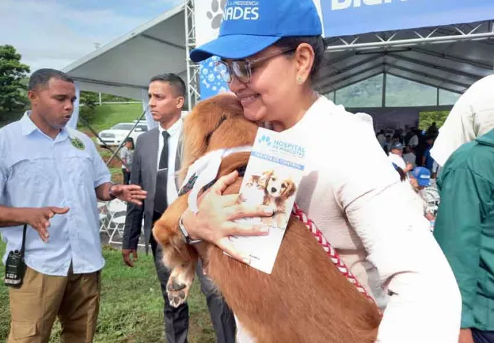 hospital-de-mascota-veterinarios.jpg