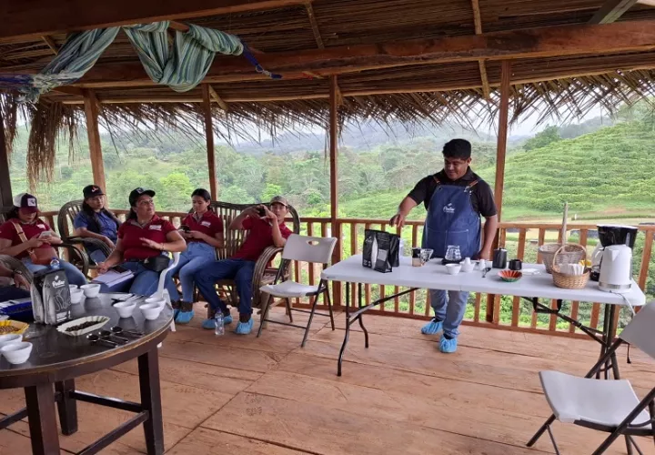 En Finca “La Vieja Molienda”, indica Espinosa, los visitantes tienen opciones de senderismo, hidroponía, el proceso postcosecha del café y agricultura circular. 
