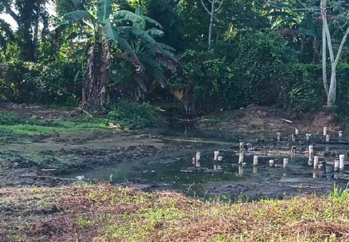 Los residentes hicieron un llamado urgente a las autoridades para que intervengan de manera inmediata y se adopten medidas que garanticen condiciones sanitarias adecuadas. Foto. Melquíades Vásquez