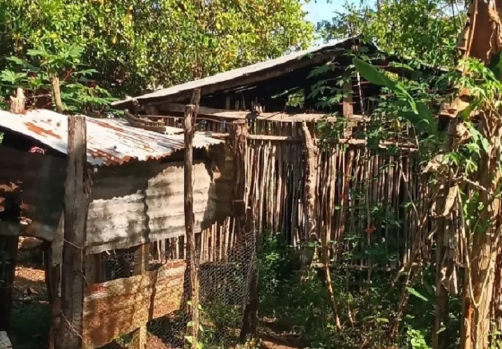 Las precipitaciones también causaron daños significativos en caminos y vías de acceso, agravando el aislamiento de comunidades rurales y evidenciando, según residentes, el prolongado abandono por parte de las autoridades. Foto. Melquíades Vásquez