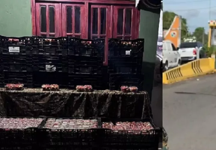 En el vehículo detenido se ubicaron 900  envases de fresas no declaradas. Foto. Senafront