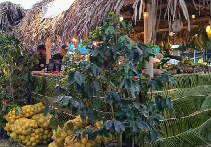 Lorelis Alveo, presidenta del patronato, dijo que para este año se ha confirmado la participación en esta feria de 55 artesanos y productores de la provincia. Foto. Eric Montenegro